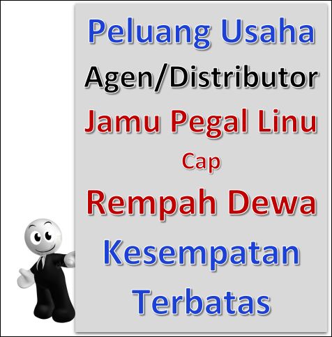 Peluang Usaha Distributor