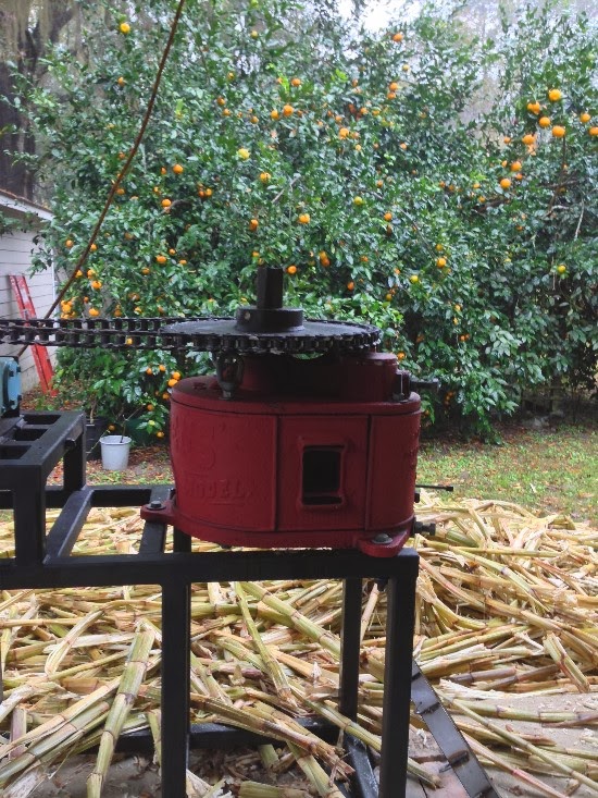The Rainforest Garden Making Sugar with Outlaws in the Old South