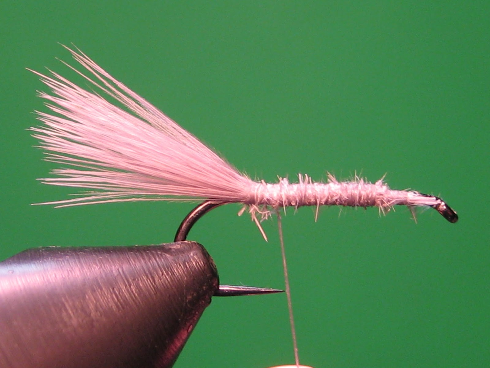 My Trout Fly Brook trout fry