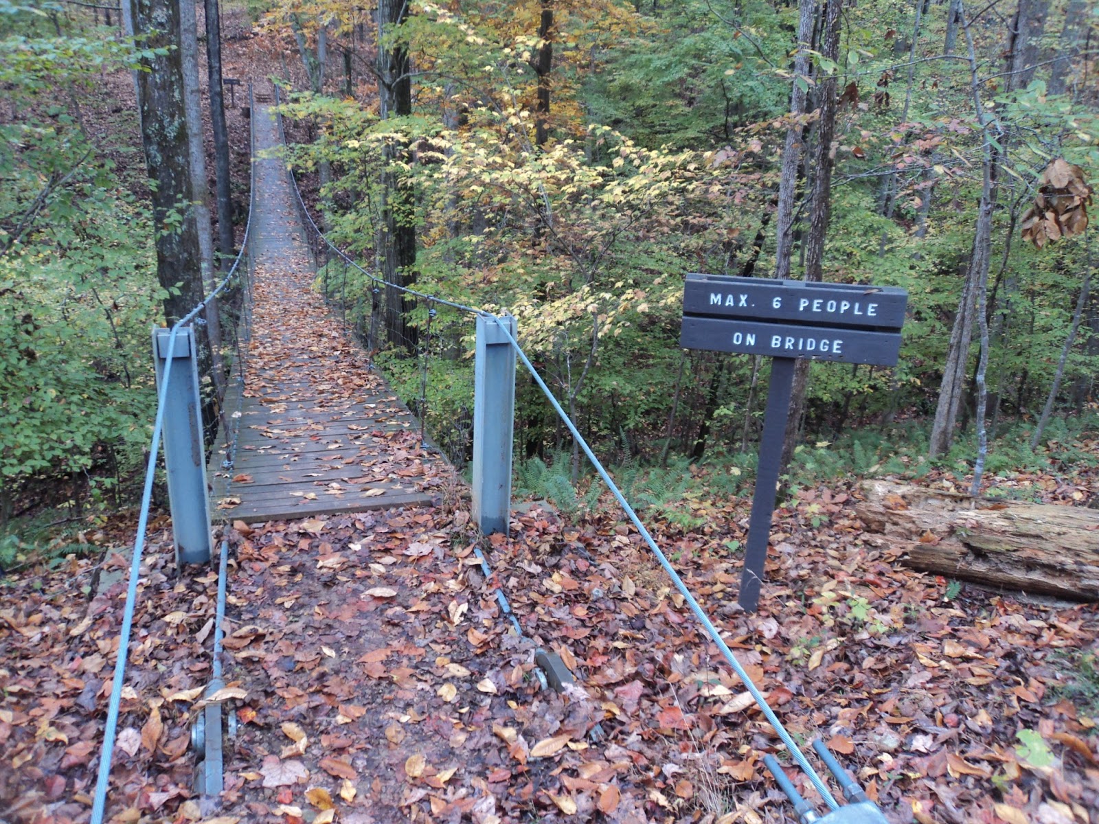 Tims Ford State Park Campgrounds Map