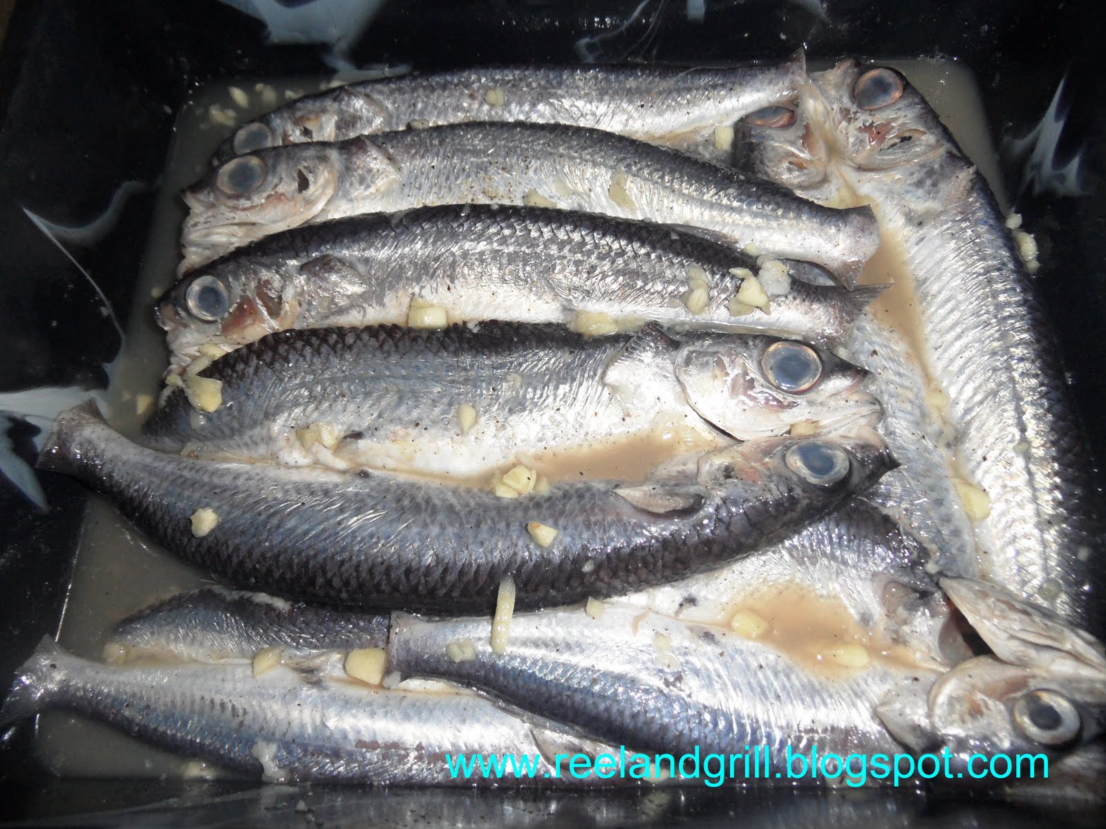 Reel and Grill Daing na Flying Fish o Bolador (Fried Vinegar & Garlic