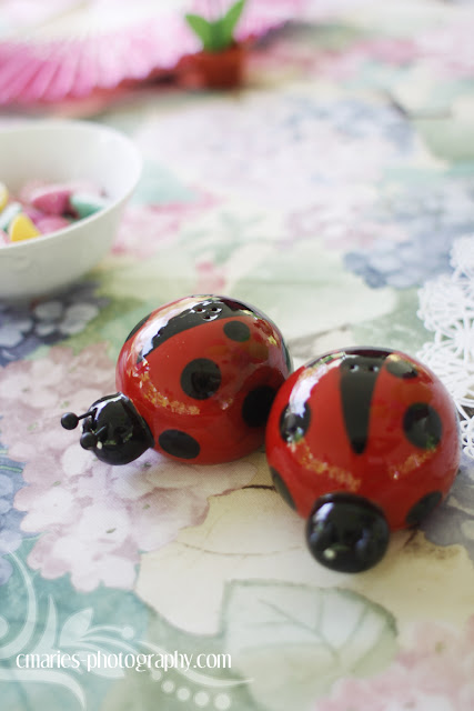 C Marie S Photography Blog Decorations Plus Findlay Party