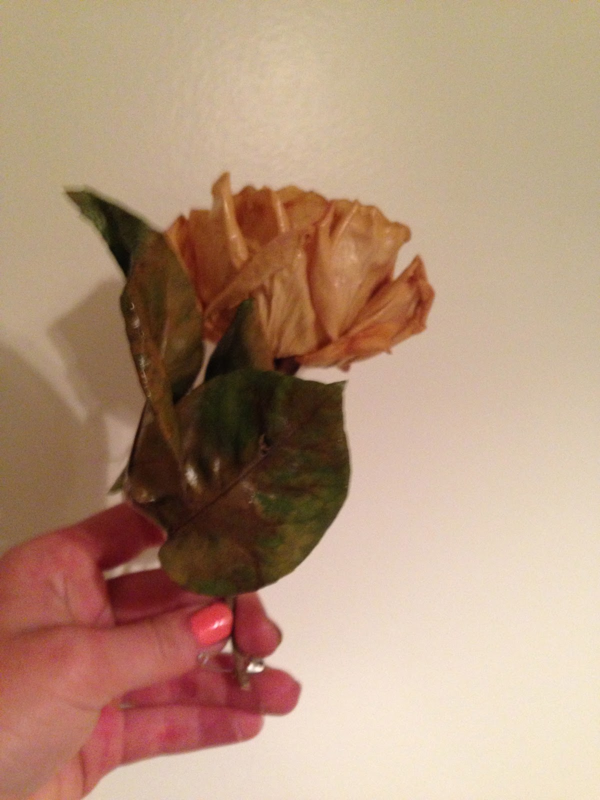 LA MECCA DIY Make flowers last forever