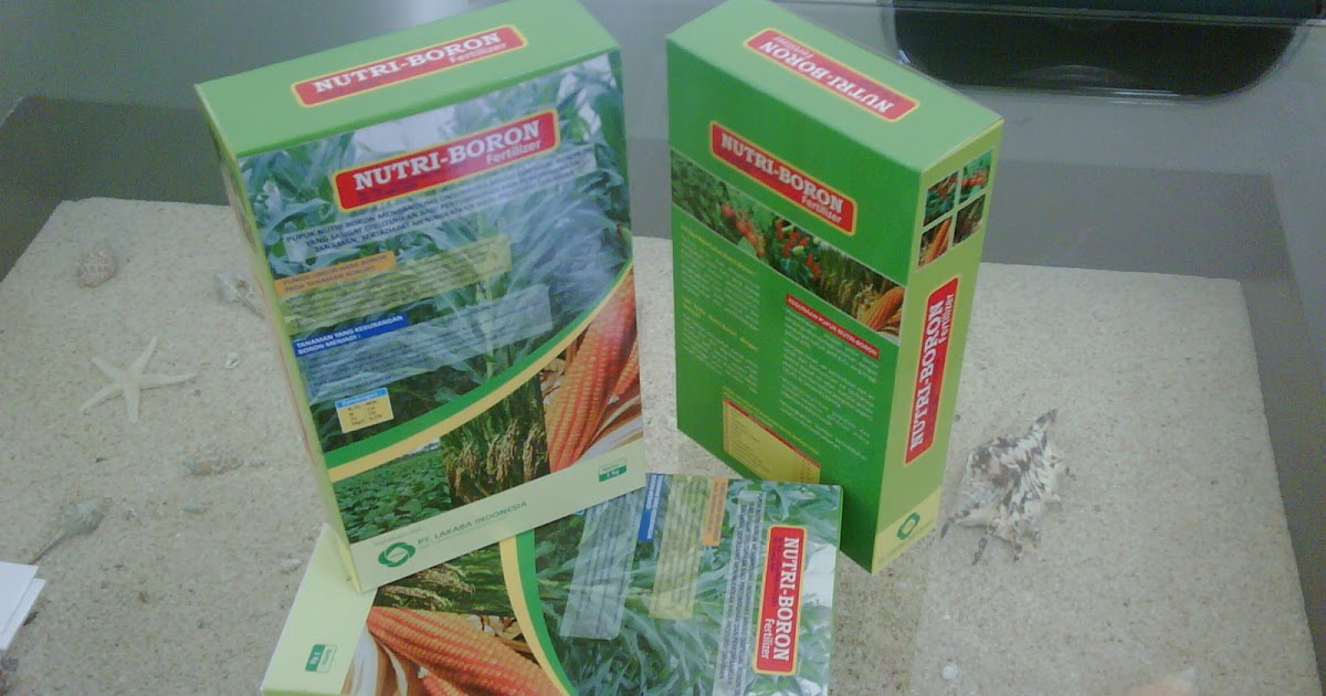bintang tani dasyat pupuk nutri boron pada tanaman bintang tani dasyat pupuk nutri boron pada tanaman