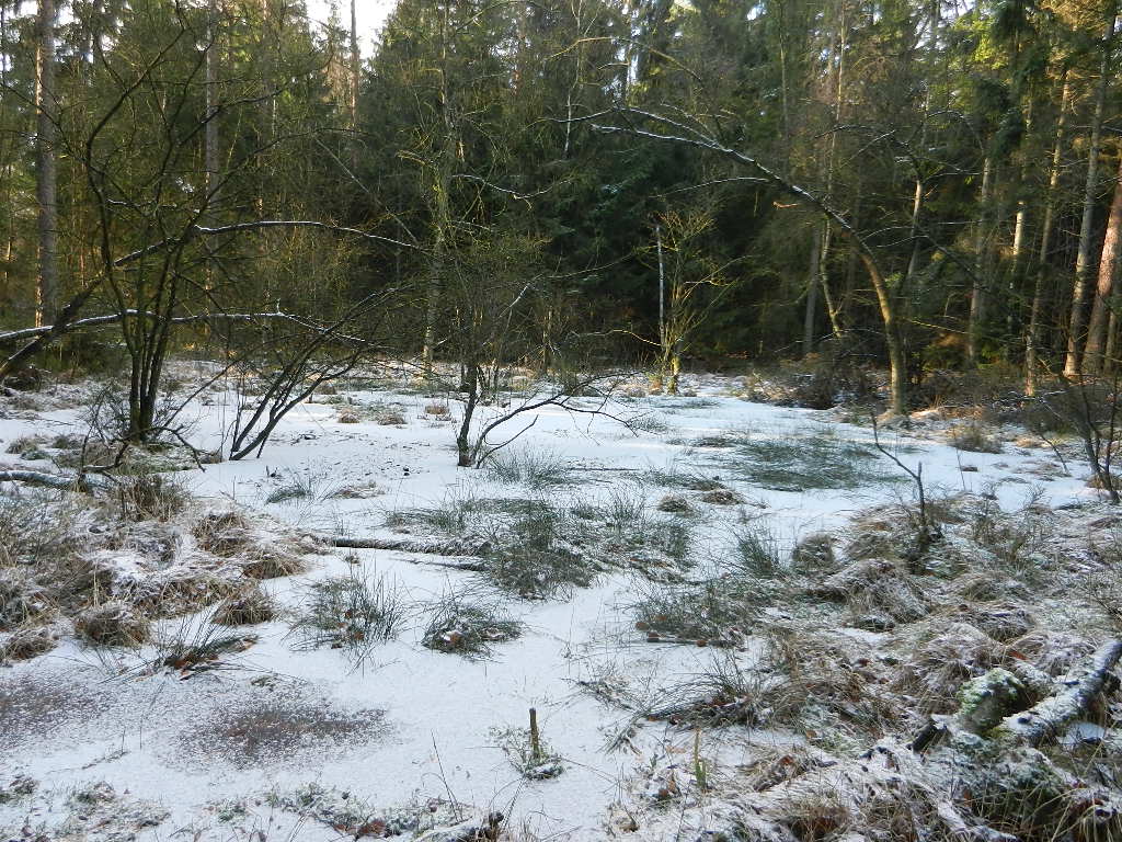 Weihnachtsmarkt Kasbachtal 2015