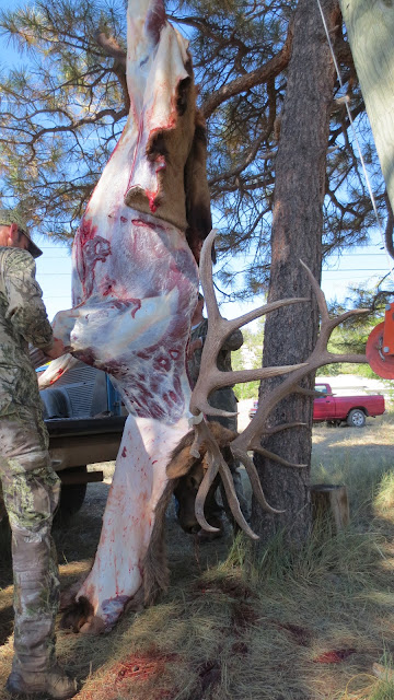 Elk+Hunting+Arizona++in+Unit+3C+with+JayScottOutdoors+6.JPG