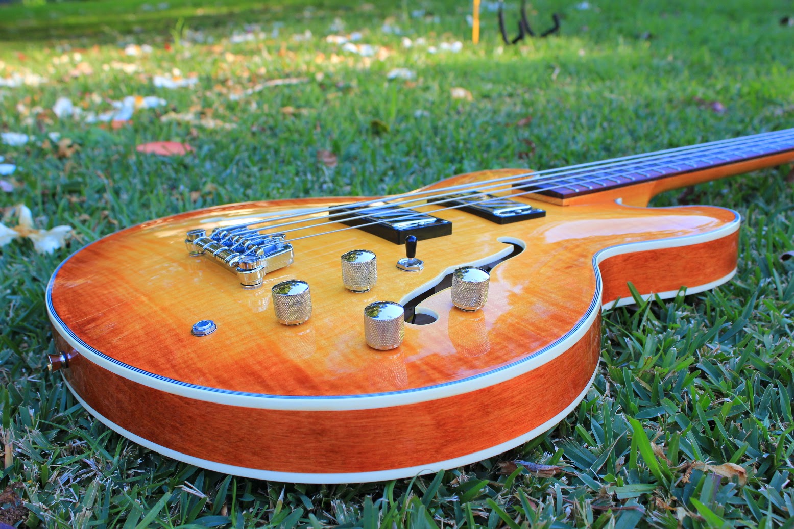 Guitar Kit Builder 335 Semihollow Bass She's a Stunner!