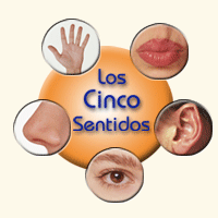 IMAGEN SENSORIALES CASTELLANO imagen sensoriales castellano: