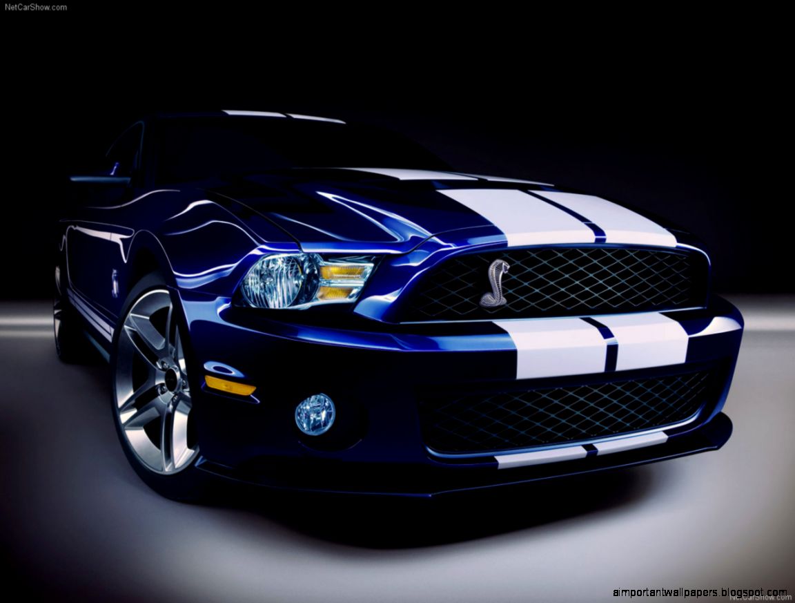 Video Classic GT 350 and GT500 MustangsNO Car NO Fun Muscle Video Classic GT 350 and GT500 MustangsNO Car NO Fun Muscle