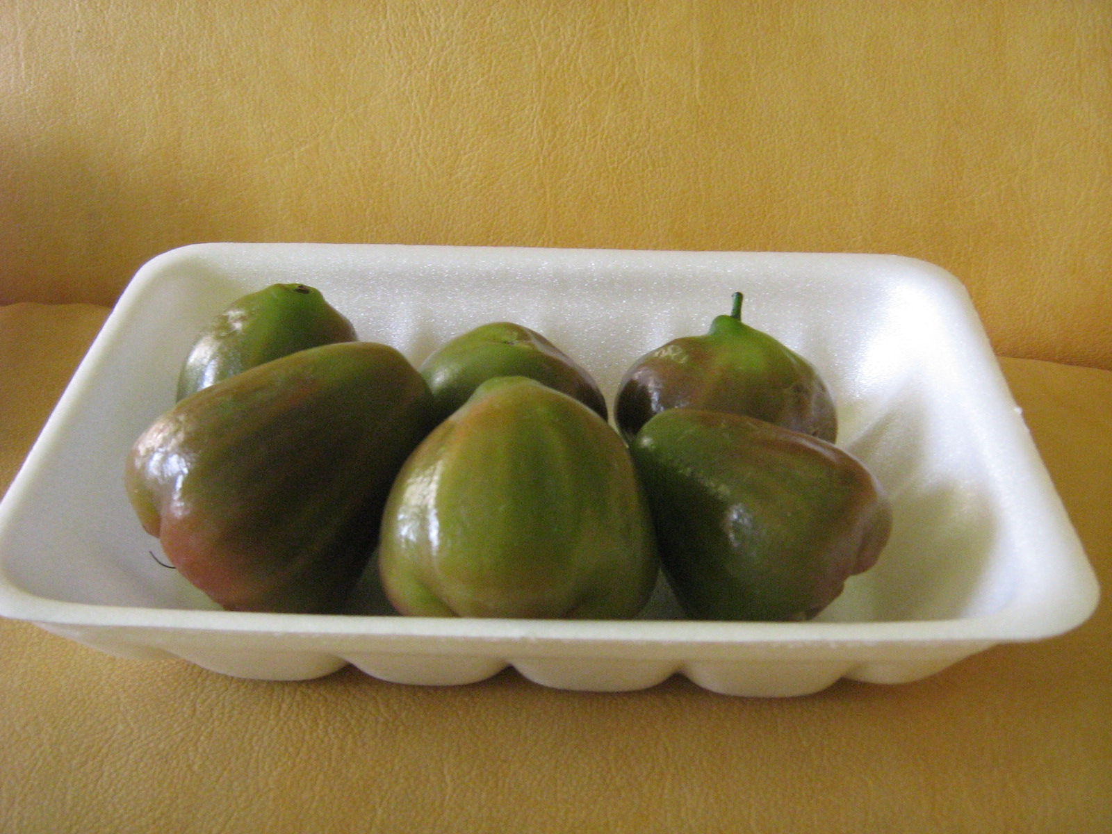 Bibit Buah Bunton Malang: Macam - macam Jambu Air
