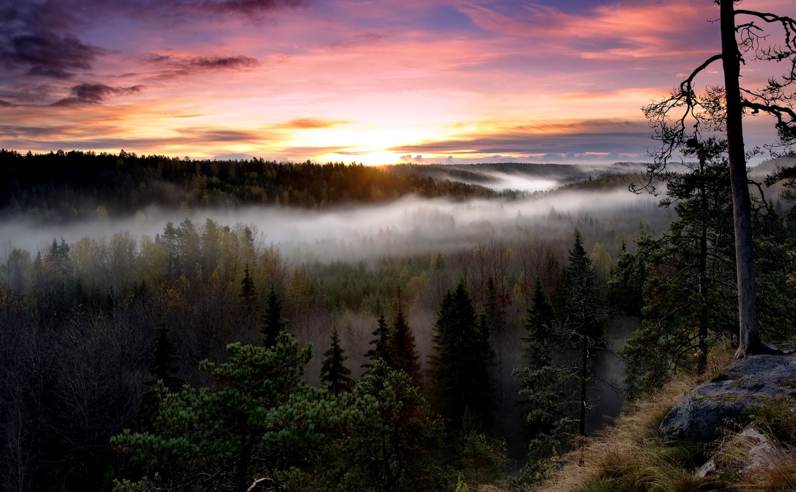Nuuksio National Park Nuuksio National Park