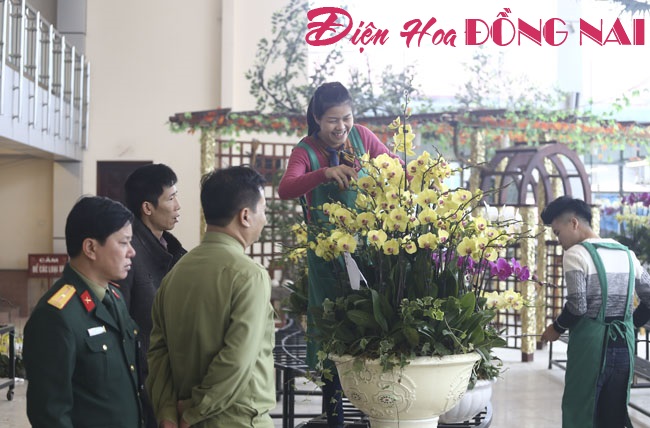 [Image: Hoa-lan-nhap-ngoai-gia-tram-trieu-van-dat-khach-4.jpg]