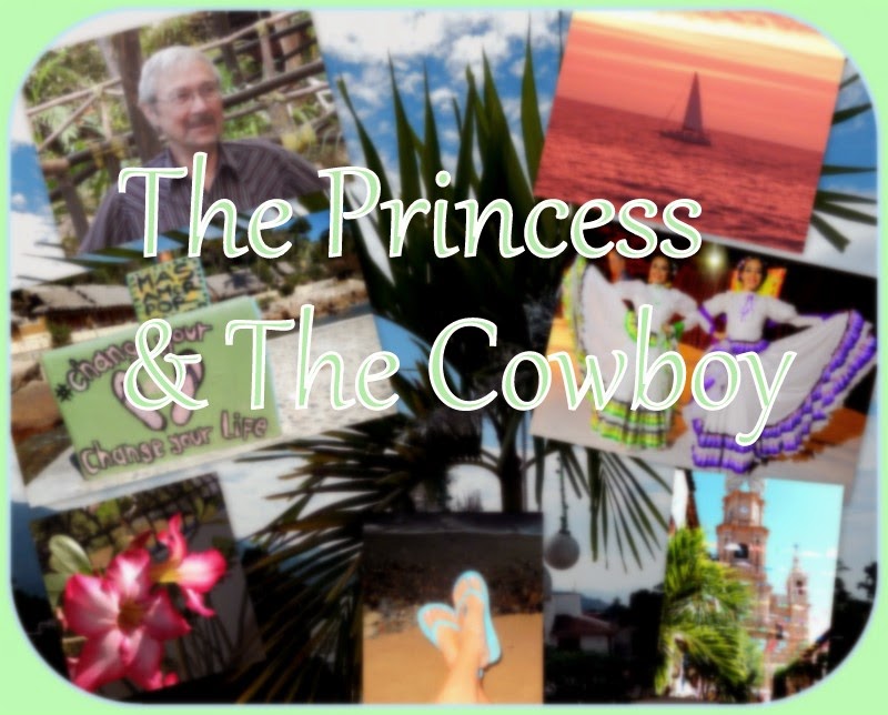 The Princess and The Cowboy