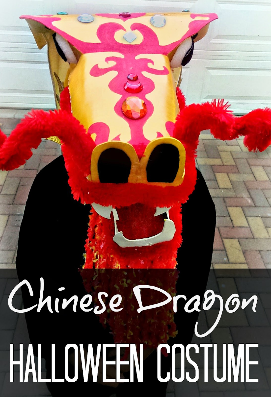 Finding BonggaMom Halloween Costumewatch 2014 Chinese Dragon