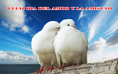 Hermosas palomas blancas bajo el cielo azul