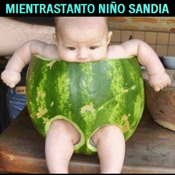 mientras tanto sandía