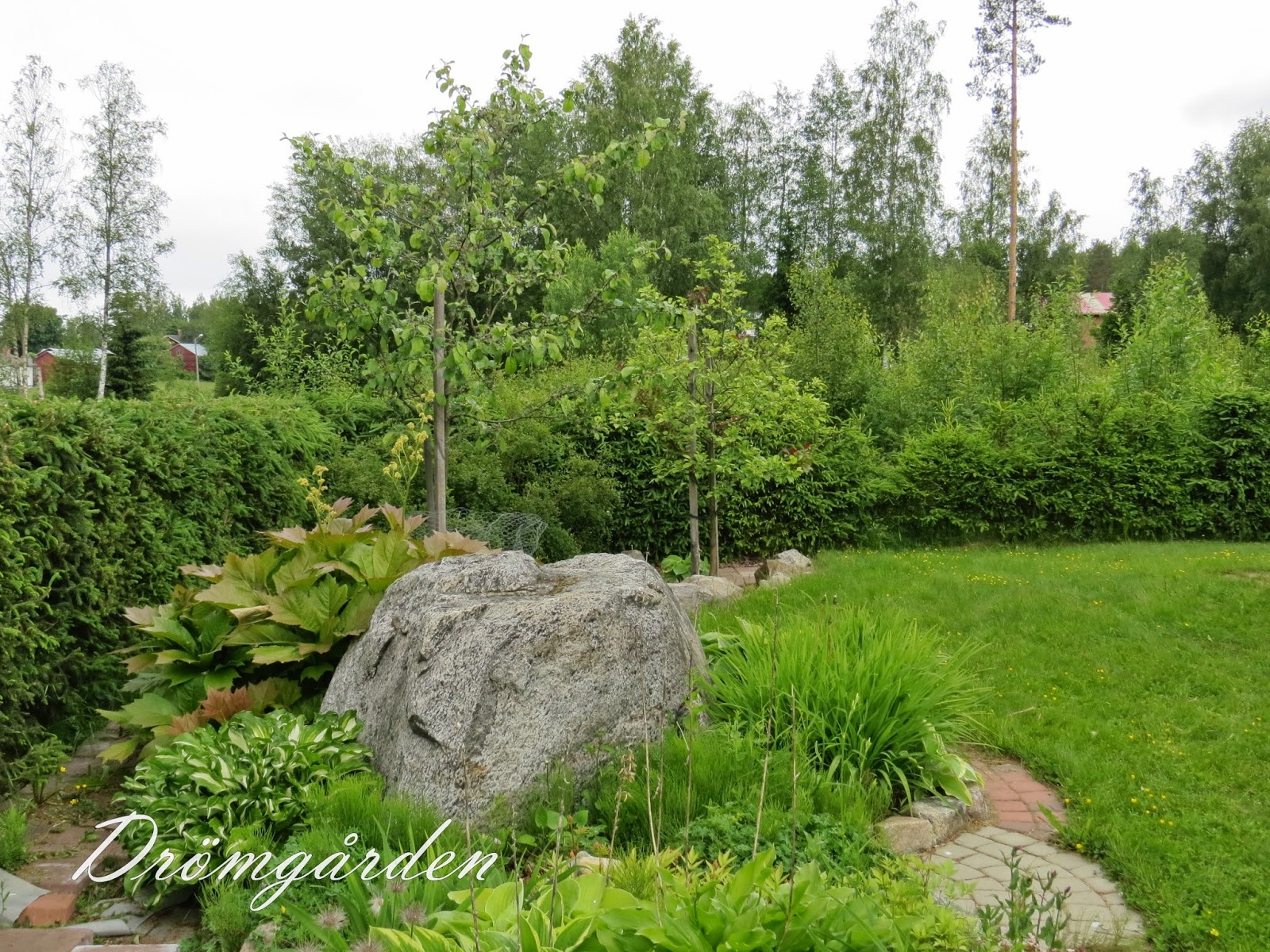 Drömgården: augusti 2014