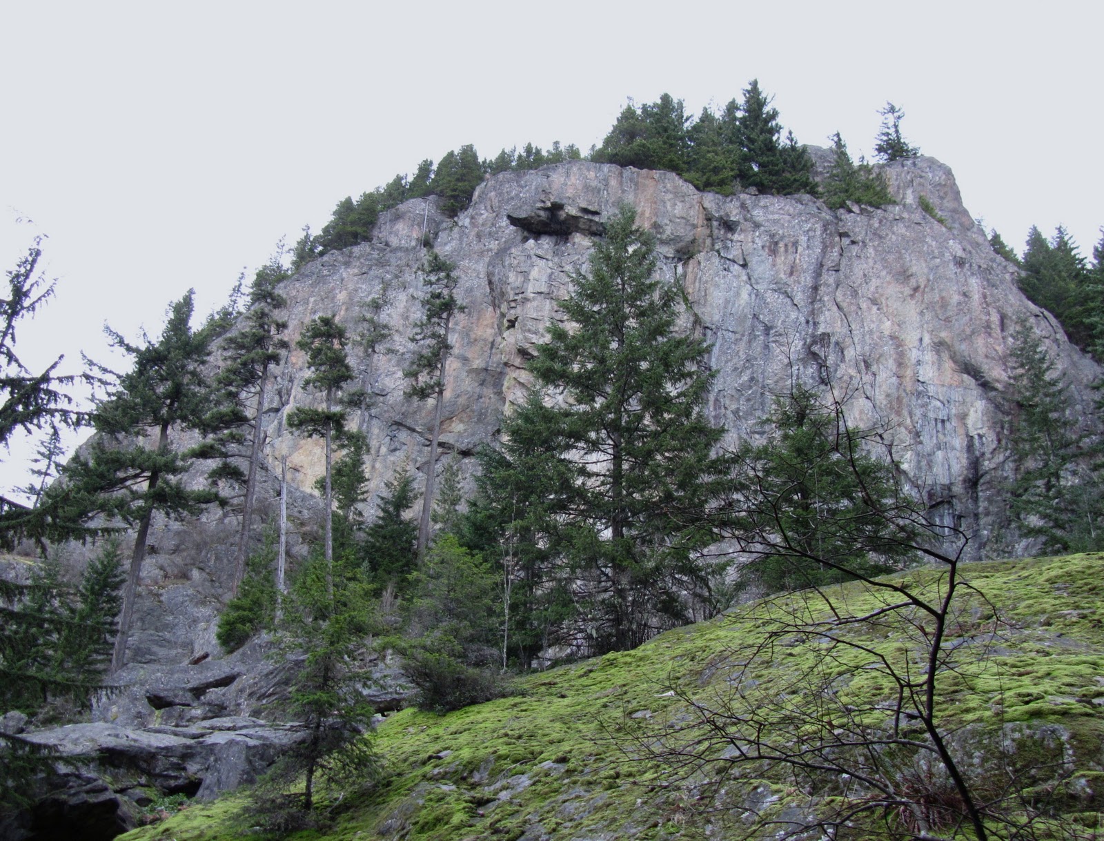 My Pacific Northwest Oyster Dome Northwest of Mt Vernon