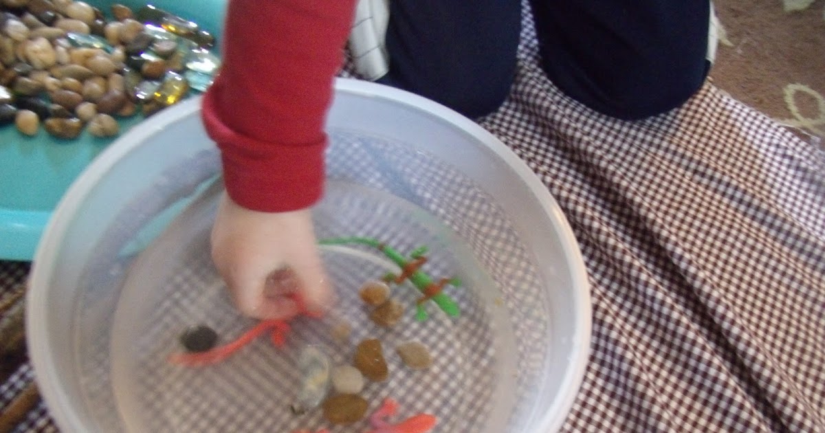 What's Fun Today? Kid Created Lizard Habitat