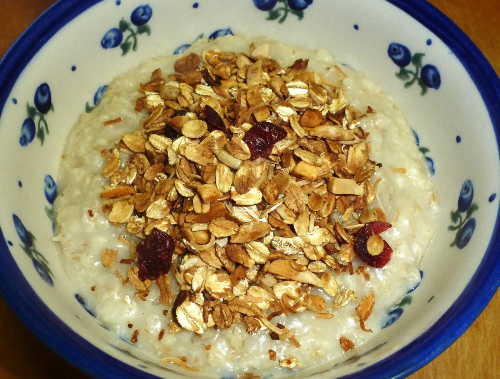 My Adventures Testing 1000 Vegan Recipes GranolaInfused Oatmeal