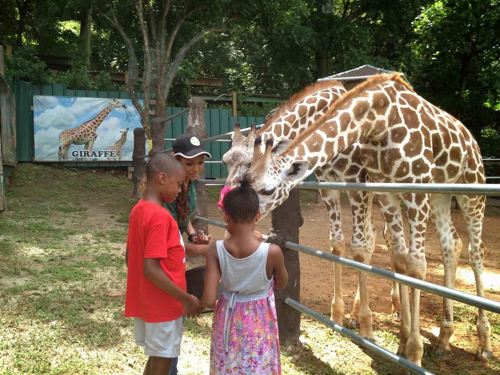 Snapshot Wife Trinidad Zoo