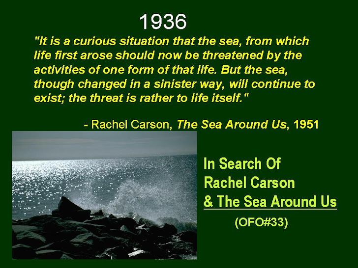 Remembering Rachel Carson (Memory Book 1936)