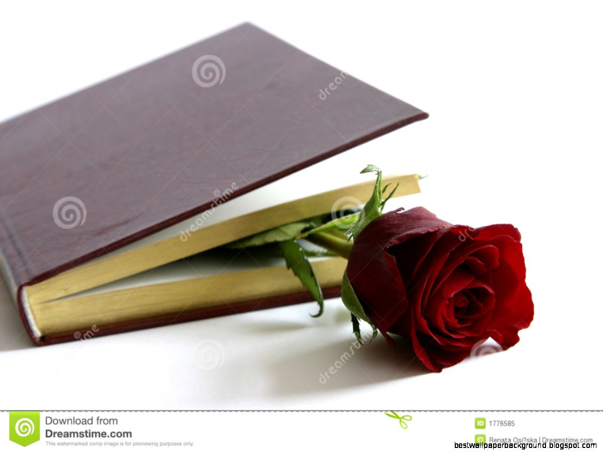 Book Rose Stock Photos Images Pictures – 6504 Images Book Rose Stock Photos Images Pictures – 6504 Images