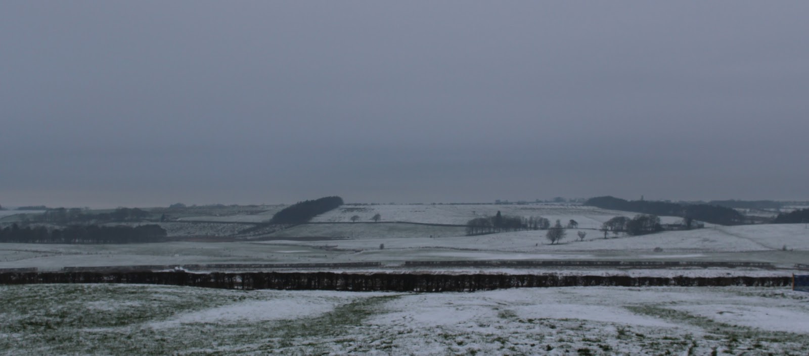 Angus' Bean Goose Blog Breaking News from the Slamannan Plateau