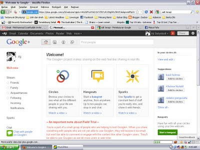 Ini adalah halaman yang pertama anda temui ketika mengaktifkan Google+