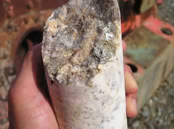 Gold Core