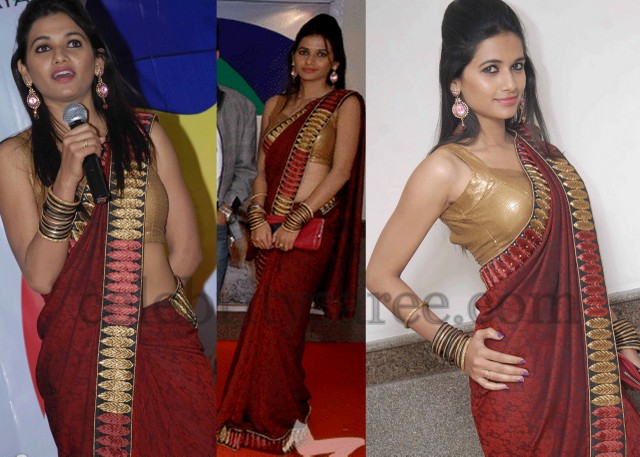 New Actress in Shimmer Sarees