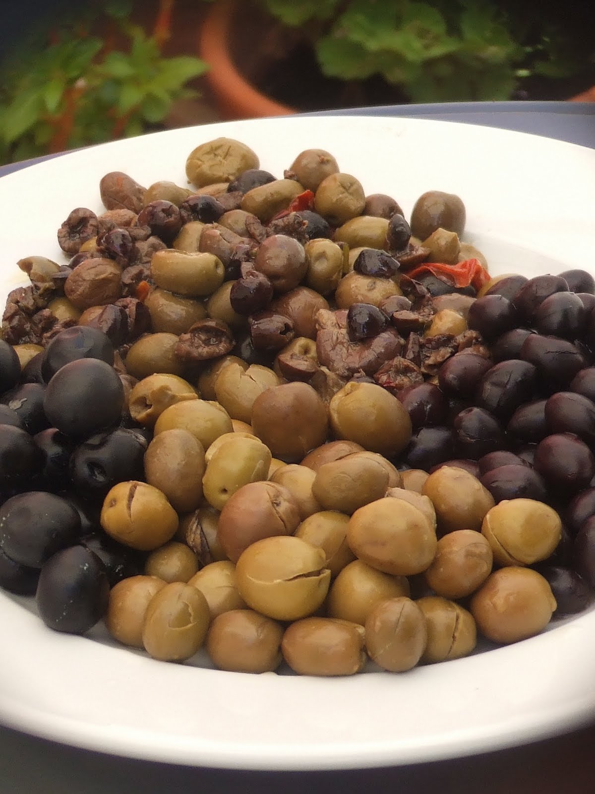 o cozinheiro este algarve I pitted the poor olive