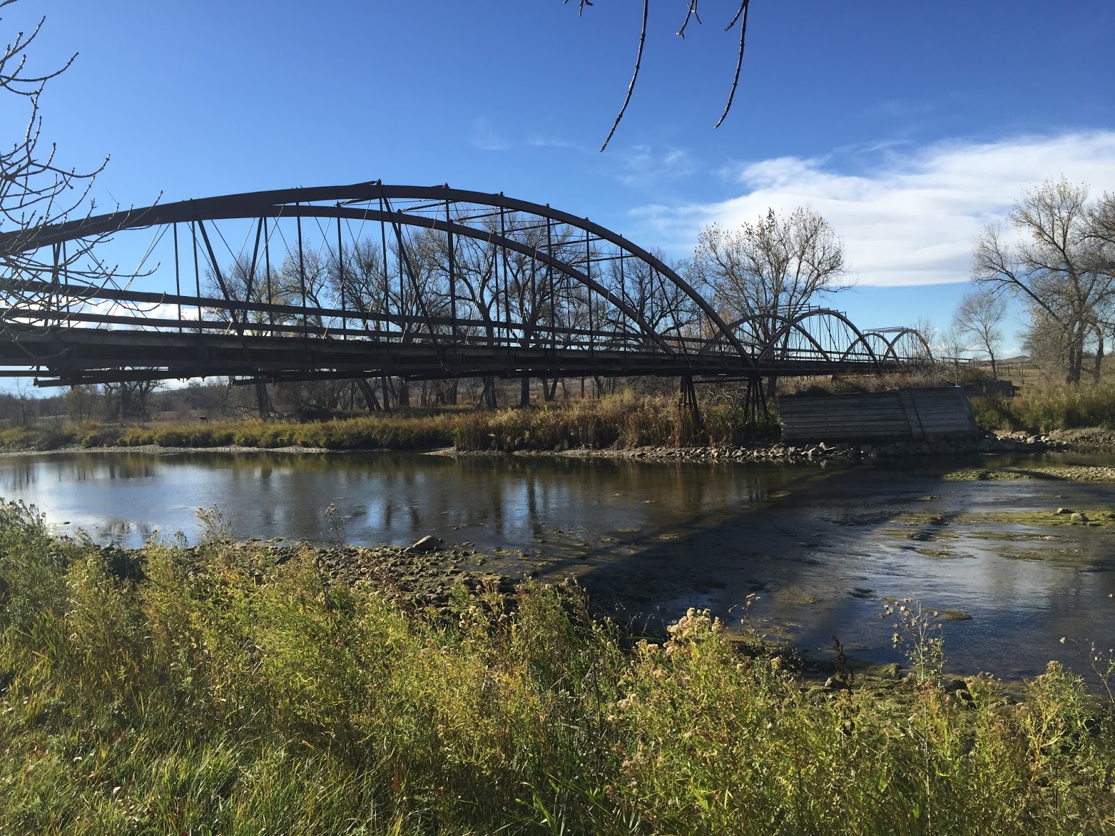 Aussies in Charge Thoughtless Thursday, Windy Wyoming