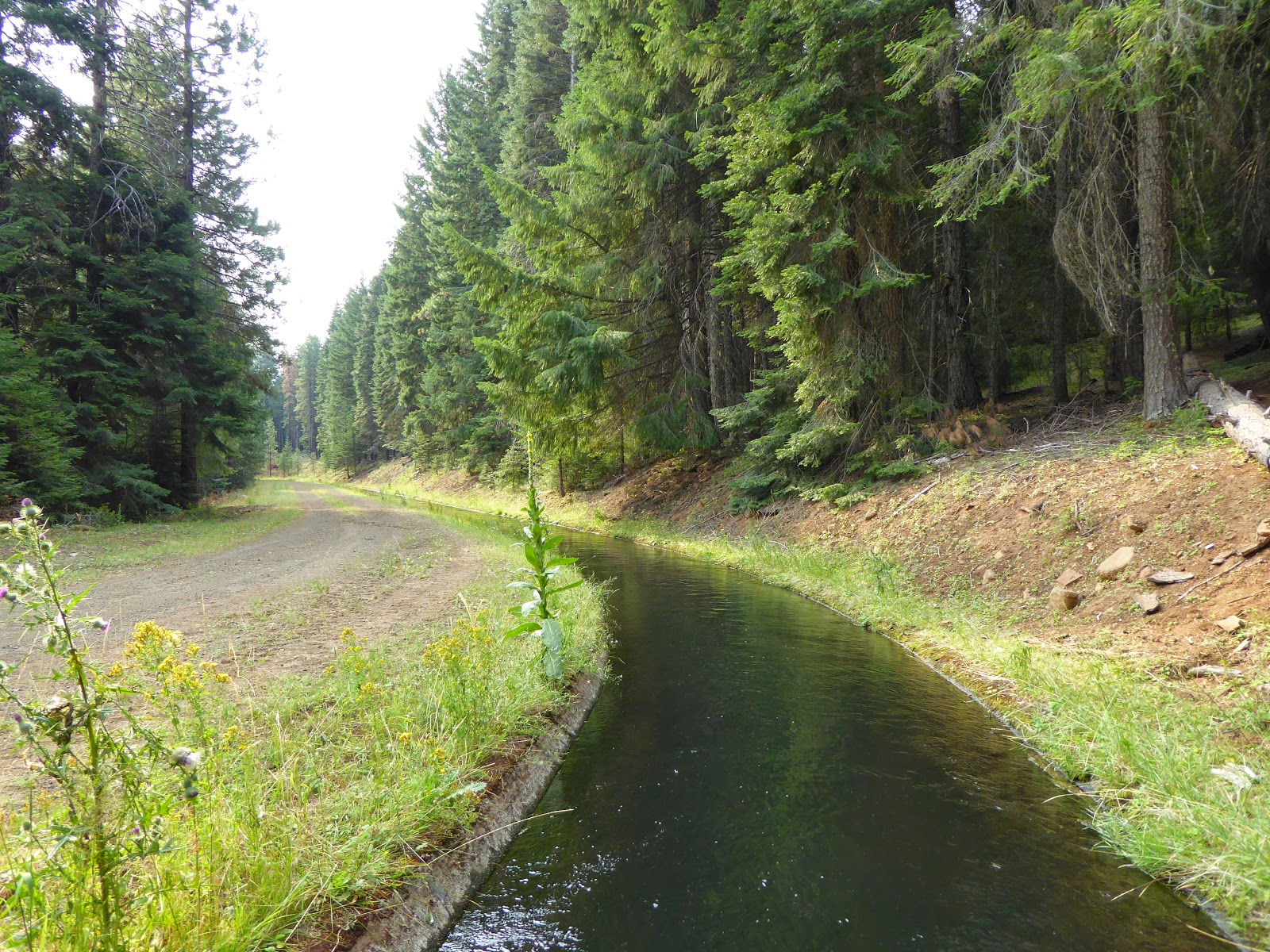 Canal near Grizzly Creek