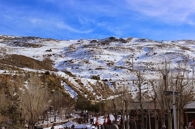 escapada a sierra nevada con niños, mirlo blanco, hoya mora