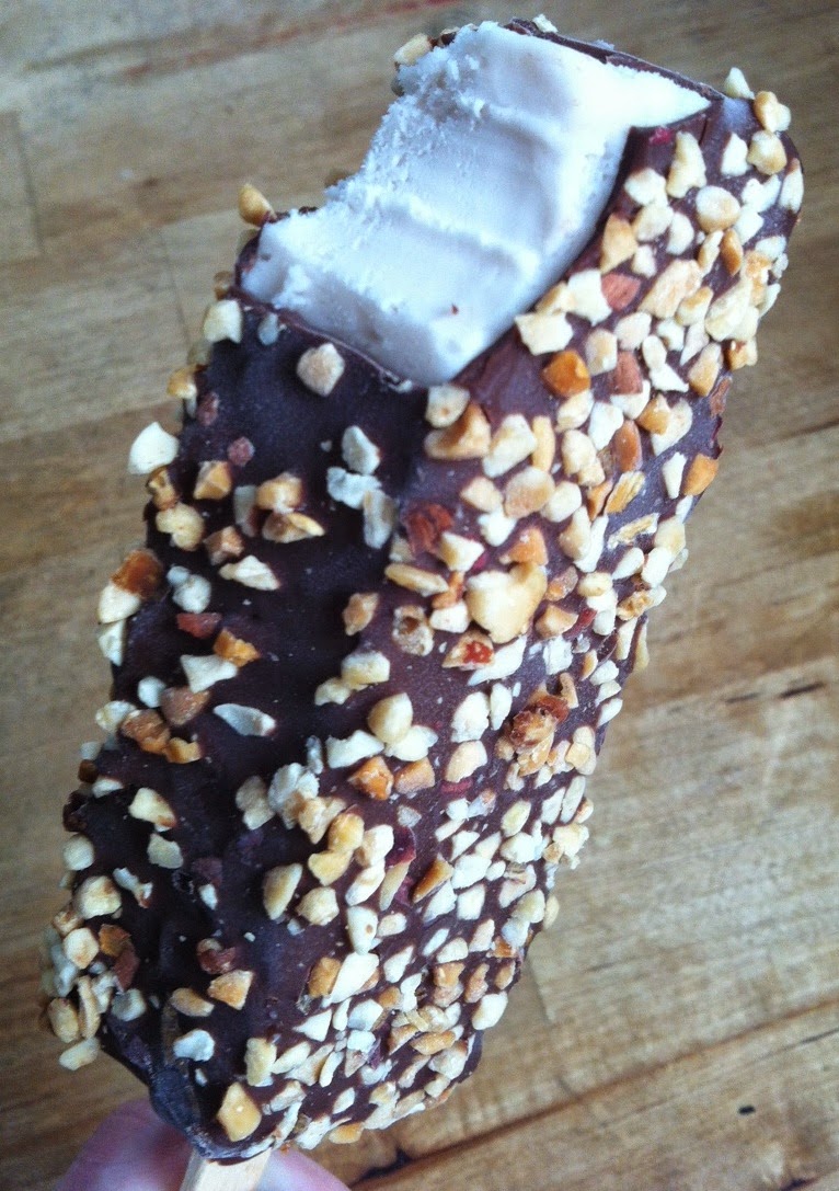 Vegan Adjacent Product Review Rice Dream Vanilla Nutty Bar