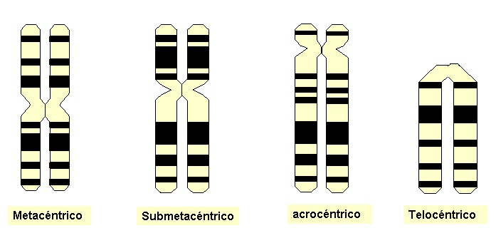 Ala-Ala MO - YouTube