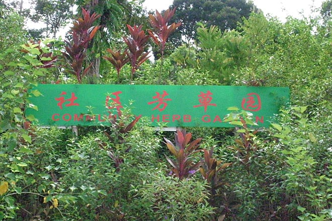 How To Grow An Herb Garden Herb Garden In Kitchen Kitchen