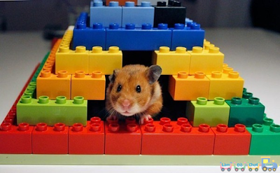 Đồ Chơi Lego 13