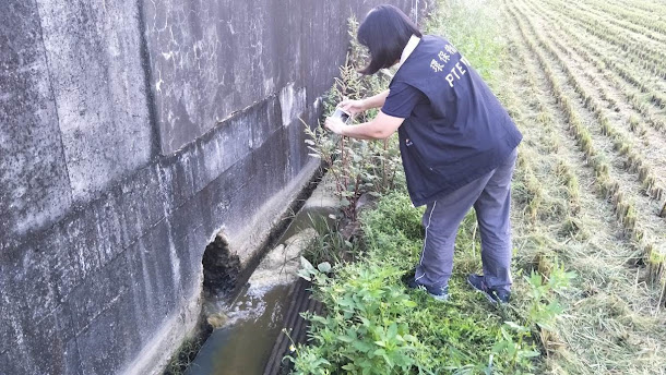 屏東縣環保局檢驗牧場排放汙水狀況。 屏東縣環保局檢驗牧場排放汙水狀況。