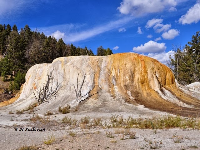 B N Sullivan Photography: Orange Spring Mound at Yellowstone's Mammoth