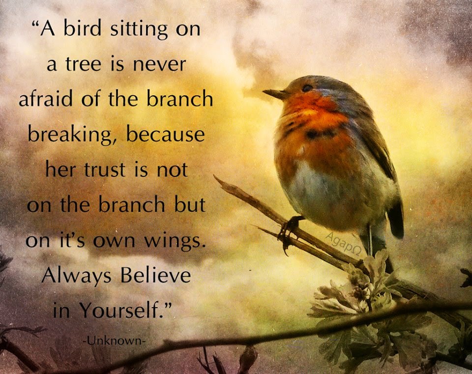 Believe and Trust In Yourself, bird's trust is not on the branch, it's