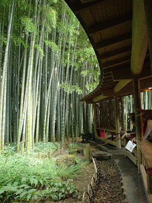 El bambú en el Jardín : Jardín y Terrazas