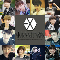 page EXO fanfiction