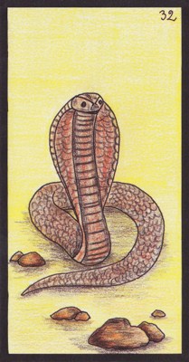 Oráculo Gé: 32. La Serpiente