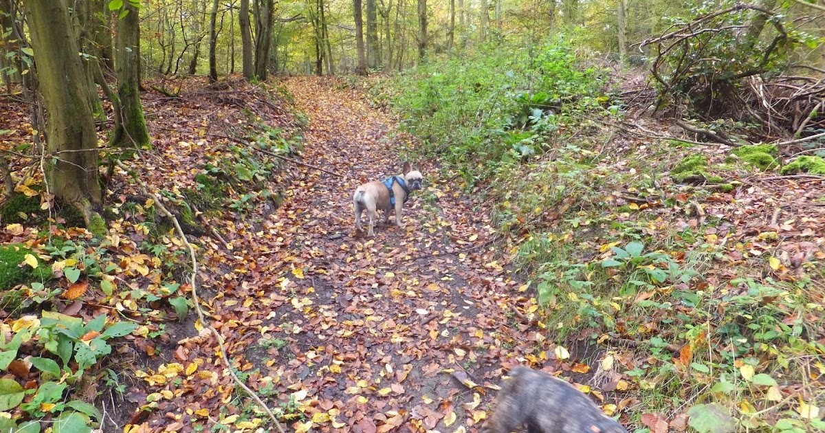 Mein Outdoorerlebnis Heute Archiv Seite 17 Outdoorseiten Net