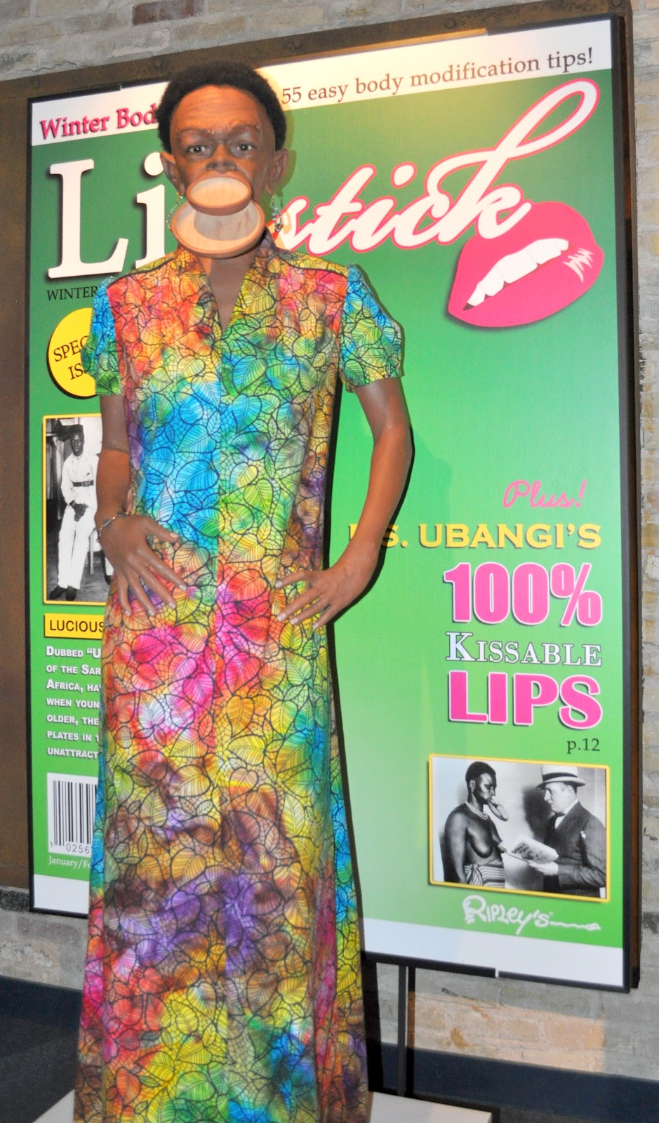 Lip Plates The Dias Family Adventures