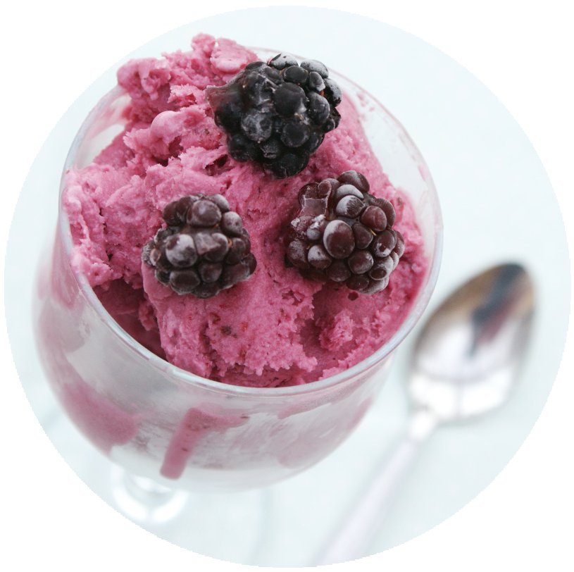 Making Sorbet Without a Machine A Blackbird's Epiphany UK Women's