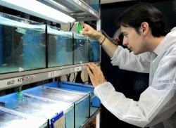 El CSIC desarrolla un ‘software’ capaz de identificar y seguir a un individuo concreto en un grupo