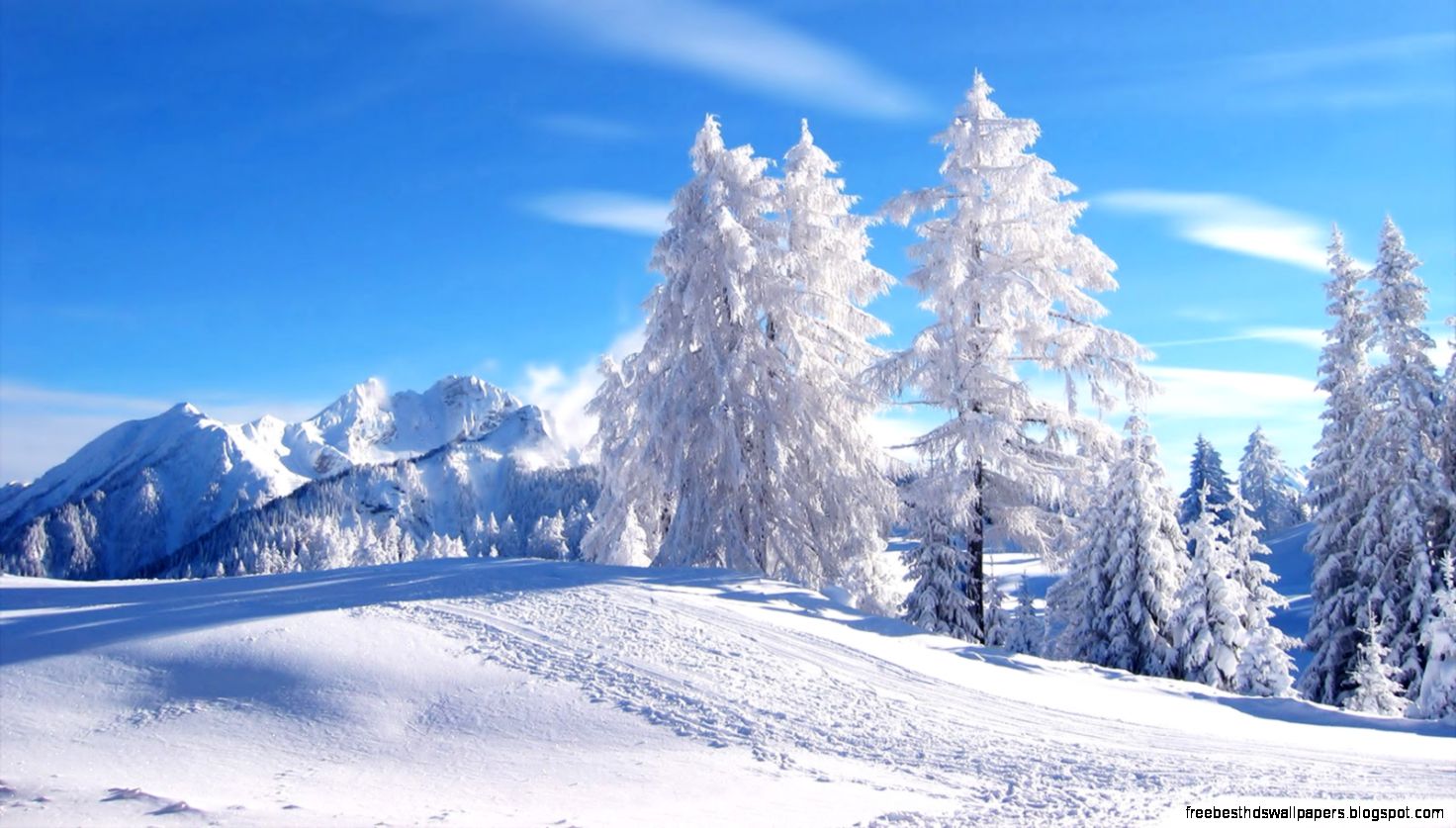 Winter Scenes Wallpaper Wallpapers HD Quality Winter Scenes Wallpaper Wallpapers HD Quality